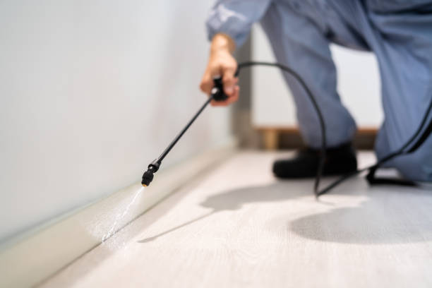 Licensed Fumigation Services service in North Edwards, CA - Nex Pest Control