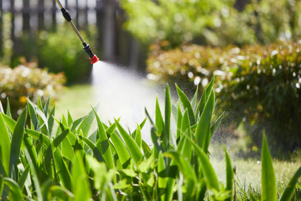24/7 Emergency Fumigation Services experts in North Edwards, CA